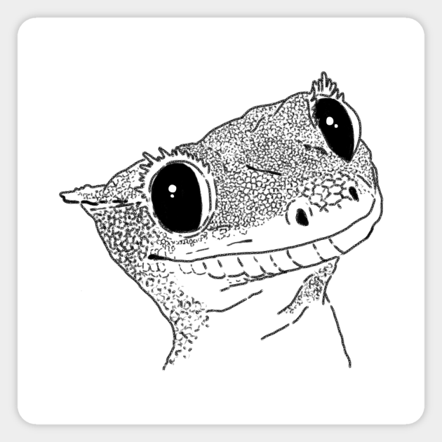 how to draw a crested gecko merrittislandgardenapartments